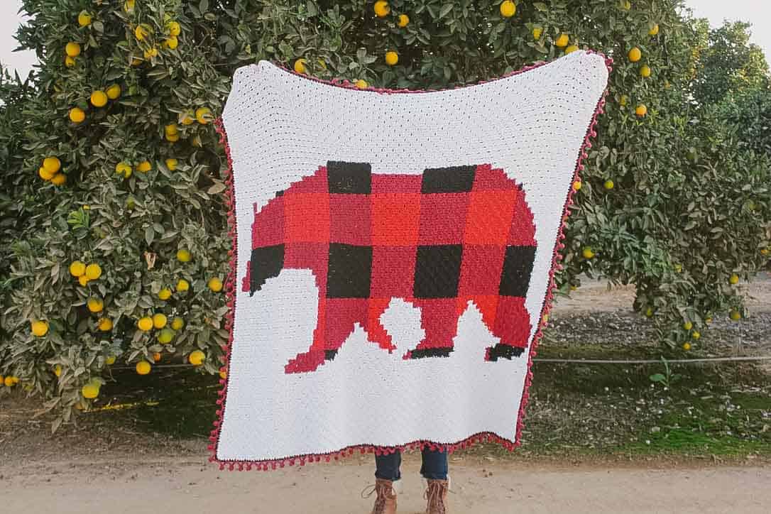 Modern, Rustic C2C Crochet Bear Blanket